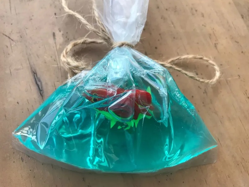 Fish in a Bag Soap
